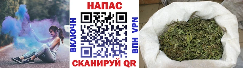 Каннабис сатива  купить закладку  Ветлуга 